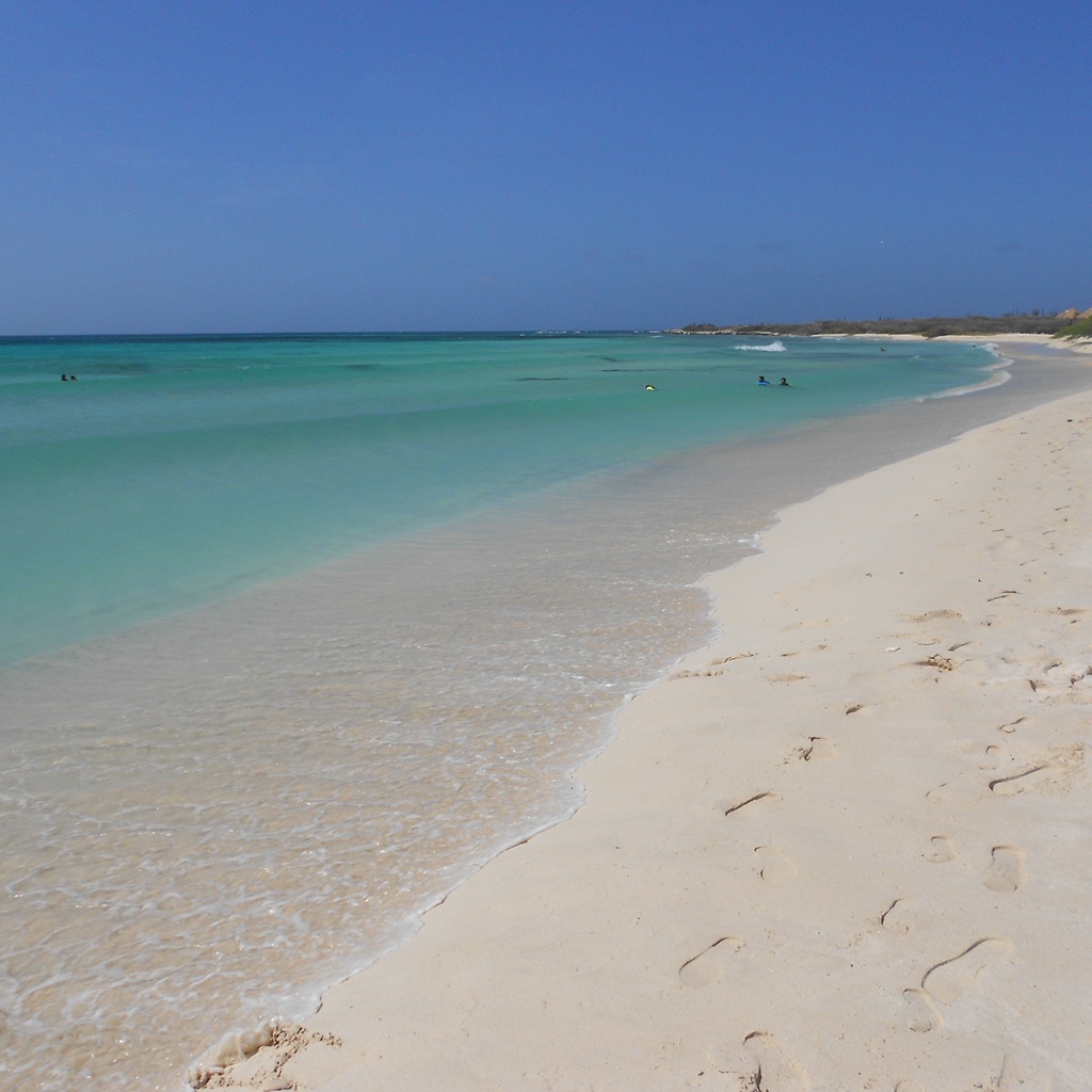 Beach View
